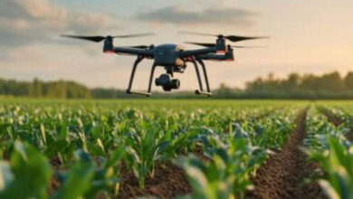 Photo de Investissements : le Maroc double ses financements agrifoodtech en 2024