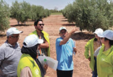 Photo de Agriculture : des résultats probants pour Al Moutmir