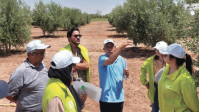 Photo de Agriculture : des résultats probants pour Al Moutmir