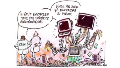 Photo de Déchets électriques et électroniques : le CESE appelle à une réforme urgente du système de gestion