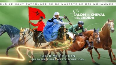 Photo de Salon du Cheval d’El Jadida : les préparatifs s’intensifient pour la 16ème édition
