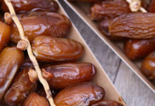 Photo de Dattes : le Maroc confirme son statut de 2e importateur mondial
