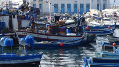 Photo de Port de M’diq : les débarquements progressent de 36% à fin août