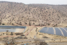 Photo de Grand Agadir : Tamalaste, la décharge de tous les dangers