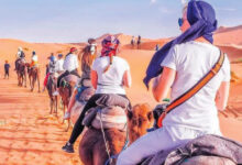 Photo de Tourisme : le Maroc dans le Top 3 mondial des destinations les plus dynamiques