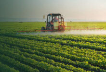 Photo de Accord agricole avec le Maroc : l’UE ajuste sa position