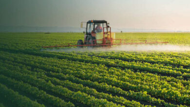 Photo de Accord agricole avec le Maroc : l’UE ajuste sa position