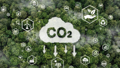 Photo de CDN 3.0 version 2025 : comment se décline la révolution dans la gouvernance et le financement de l’action climatique