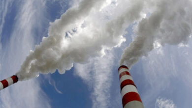 Photo de Fonds «verts» : des ONG appelent à bannir l’expansion des énergies fossiles