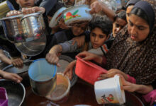 Photo de Sécurité alimentaire mondiale : entre famines locales et marchés agricoles sous tension